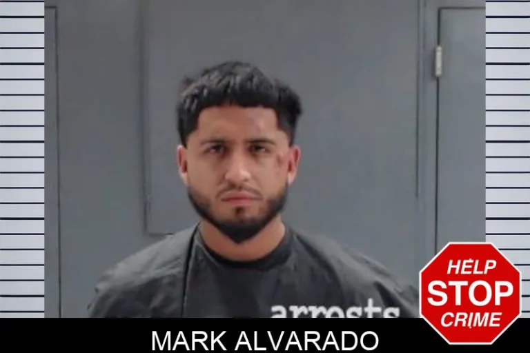 Mark Alvarado