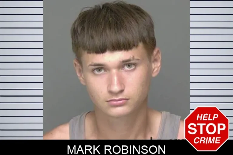 Mark Robinson