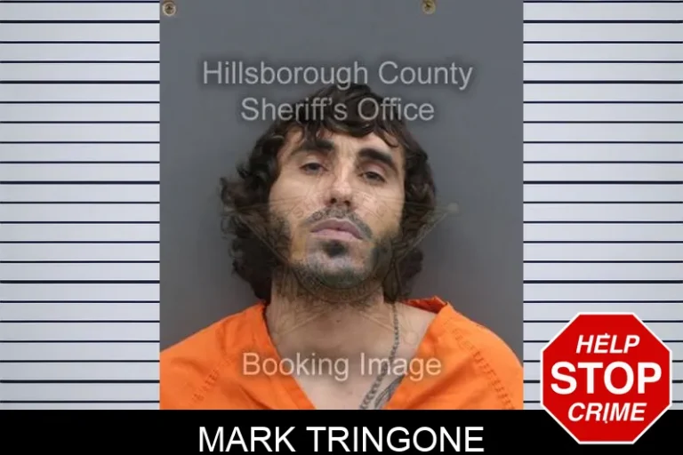 Mark Tringone