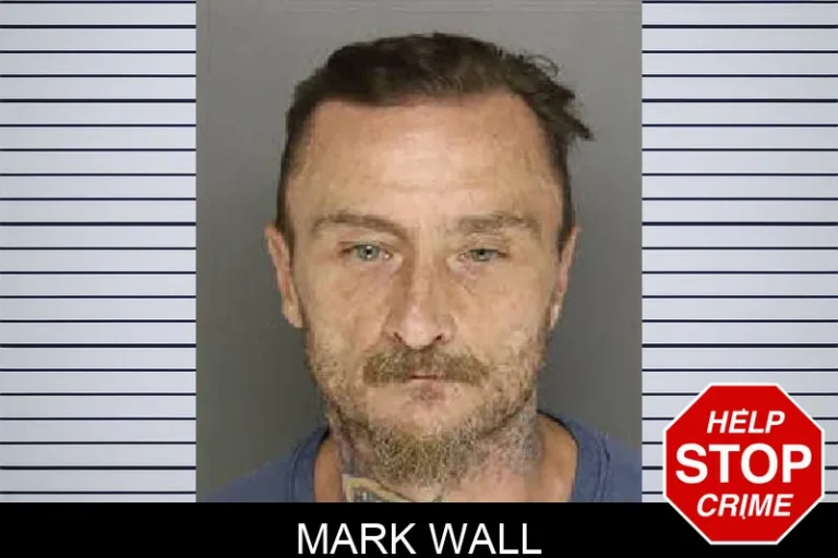 Mark Wall