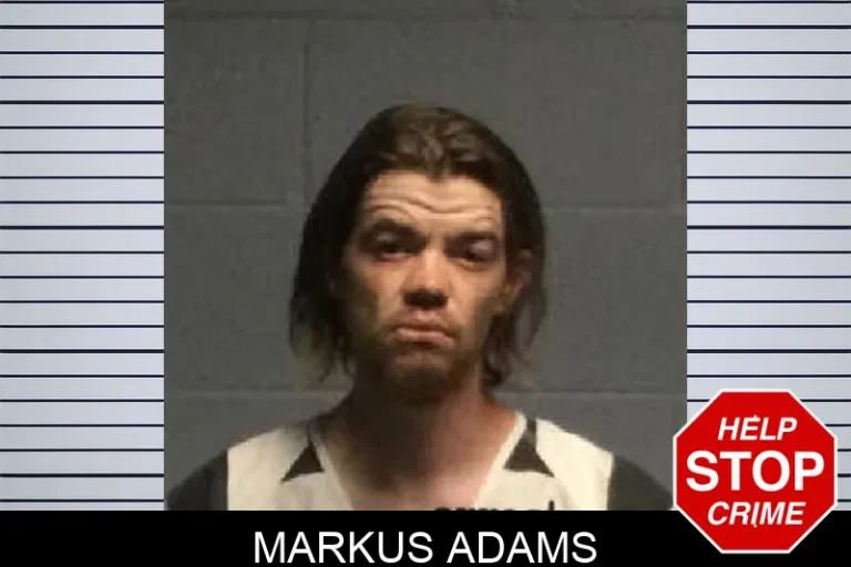 Markus Adams