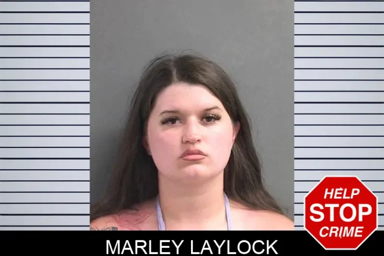 Marley Laylock
