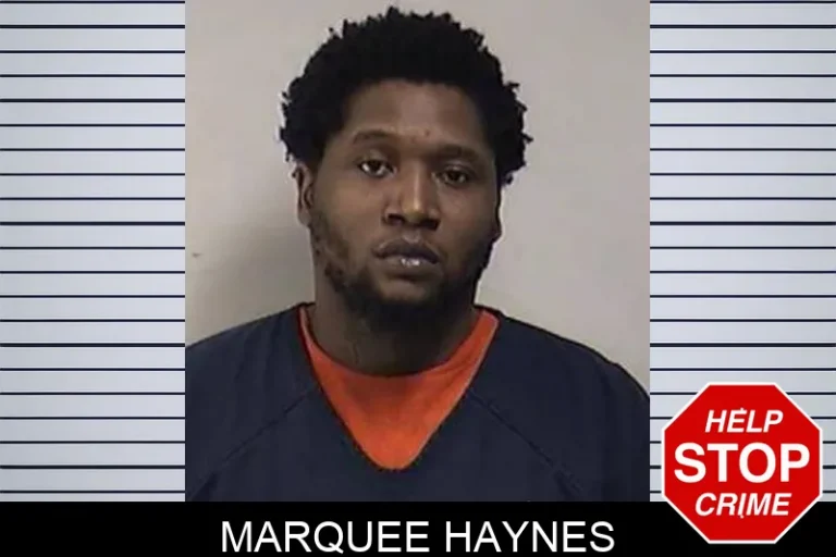 Marquee Haynes