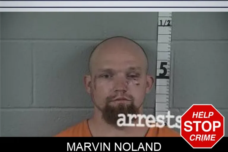 Marvin Noland