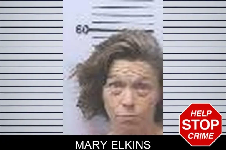 Mary Elkins