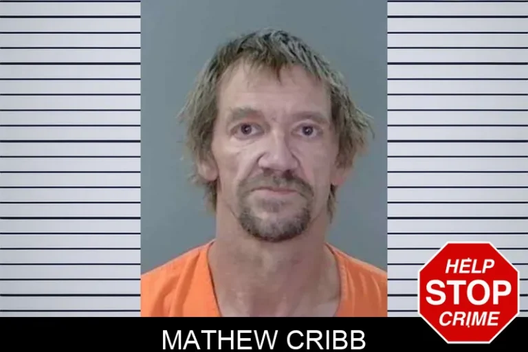 Mathew Cribb