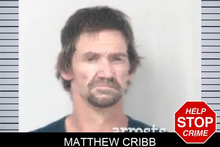 Matthew Cribb