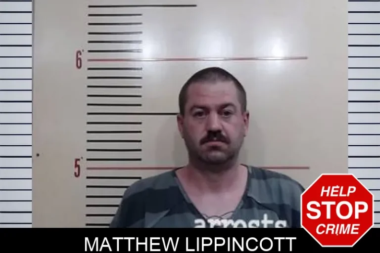 Matthew Lippincott