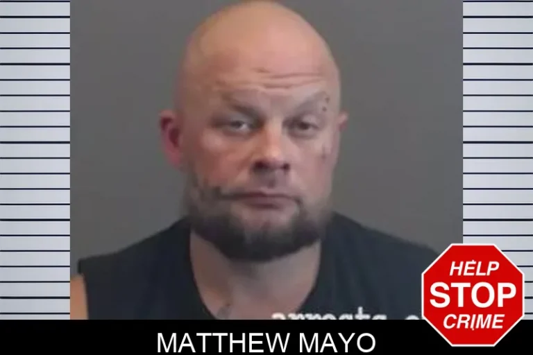 Matthew Mayo