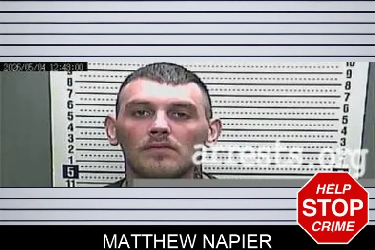 Matthew Napier