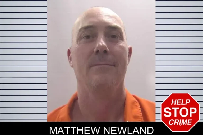 Matthew Newland