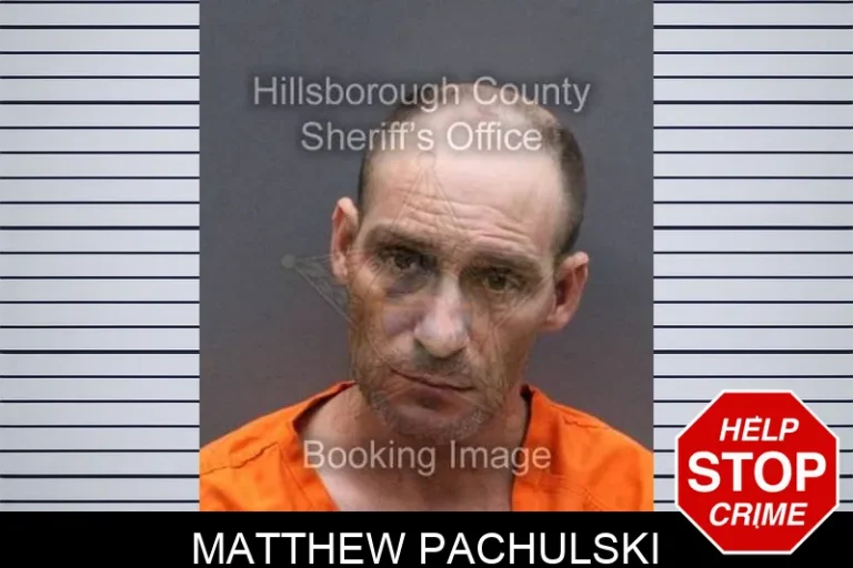 Matthew Pachulski