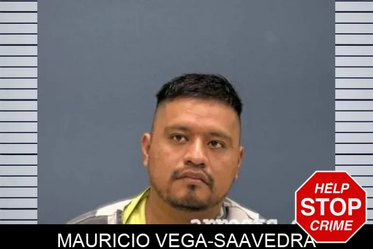 Mauricio Vega-Saavedra