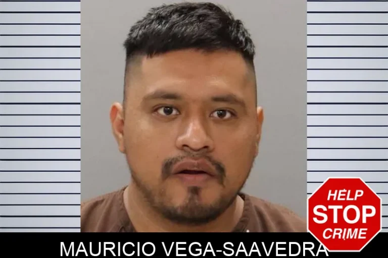 Mauricio Vega-Saavedra