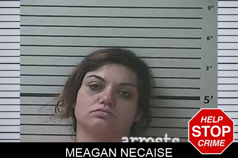 Meagan Necaise