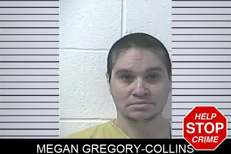 Megan Gregory-Collins
