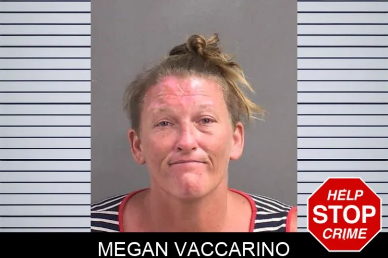 Megan Vaccarino