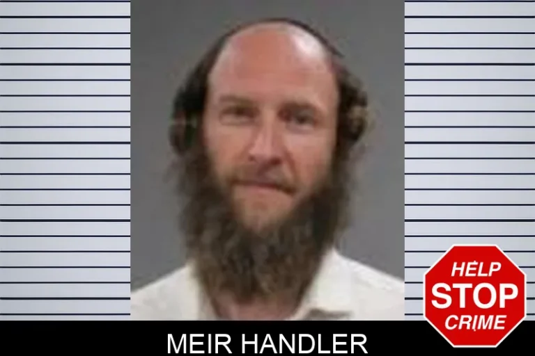 Meir Handler