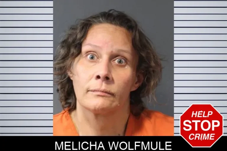 Melicha WolfmuLe