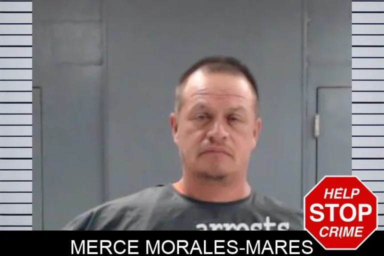 Merce Morales-Mares