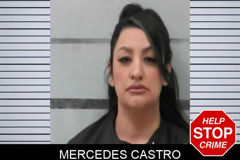 Mercedes Castro