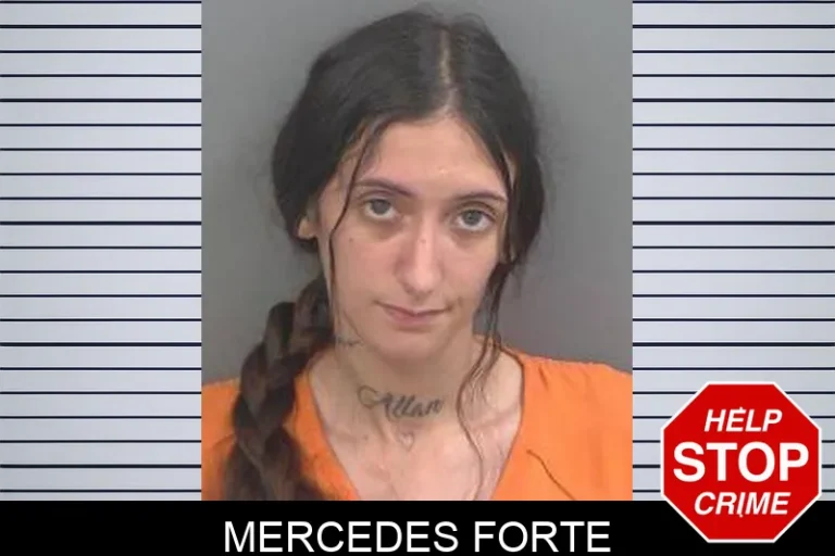 Mercedes Forte