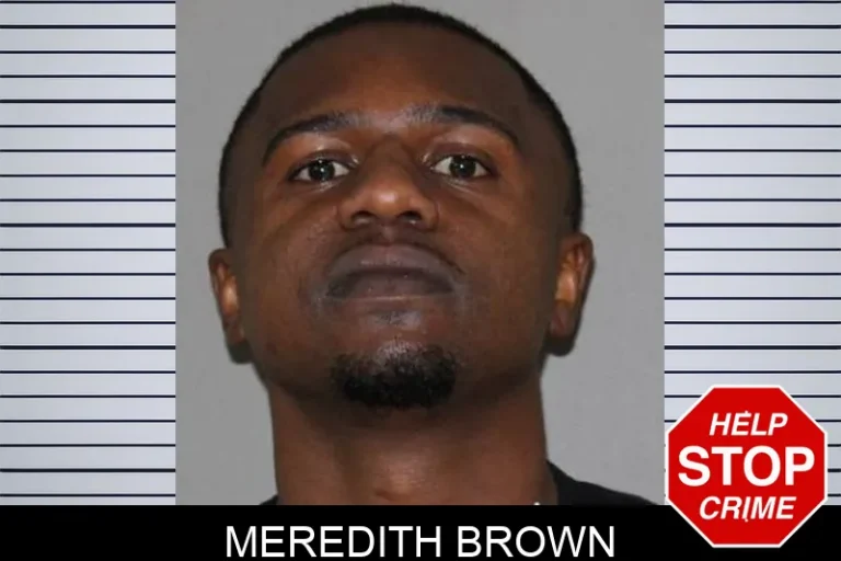 Meredith Brown