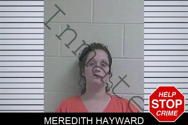 Meredith Hayward
