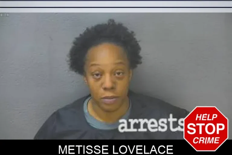 Metisse Lovelace