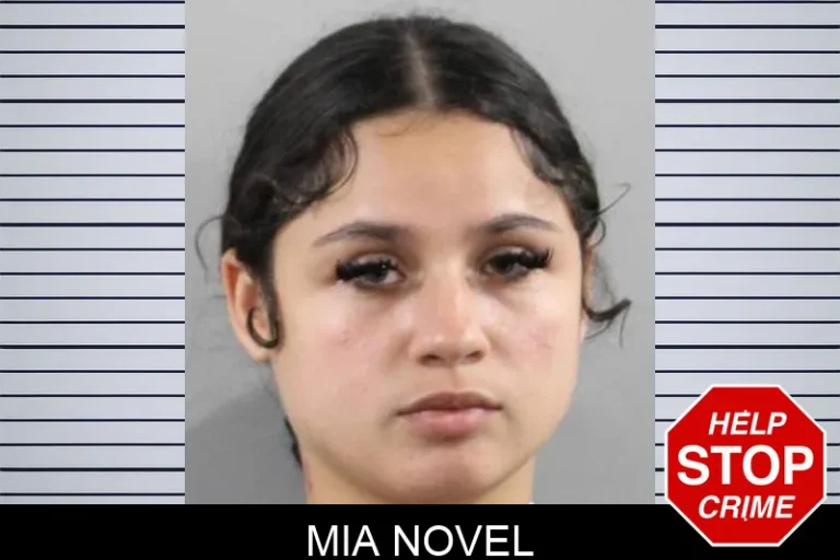 Mia Novel