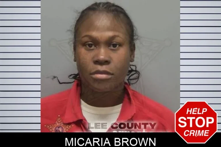 Micaria Brown
