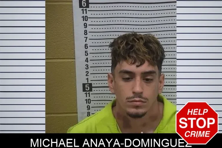 Michael Anaya-Dominguez