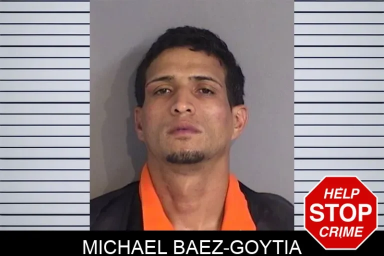 Michael Baez-Goytia