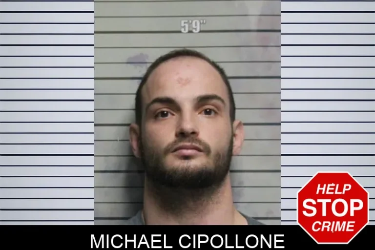 Michael Cipollone