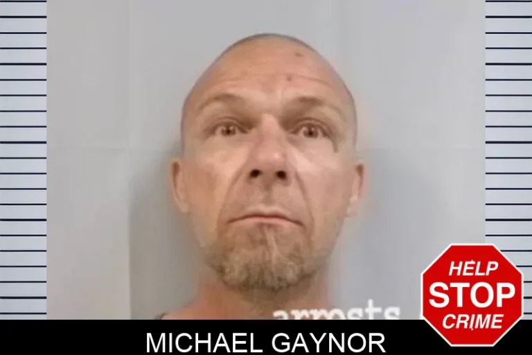 Michael Gaynor