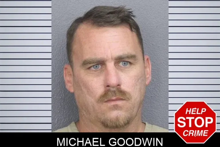 Michael Goodwin