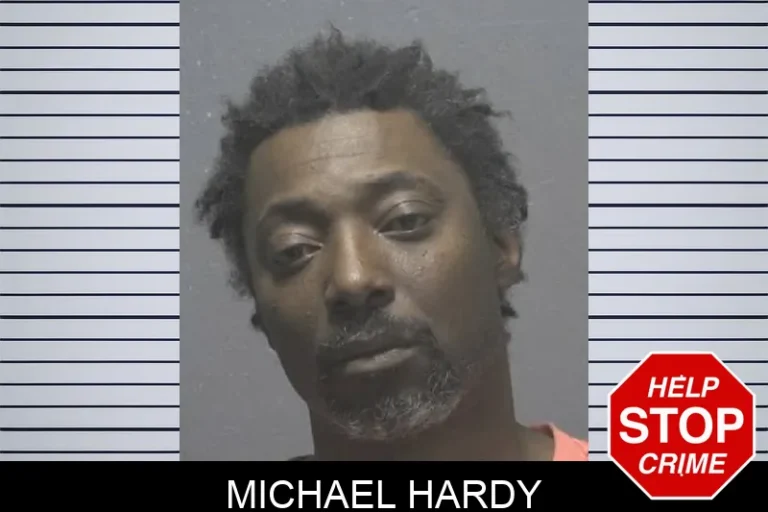 Michael Hardy