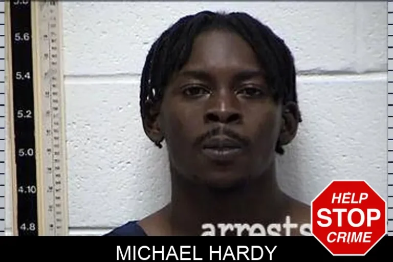 Michael Hardy