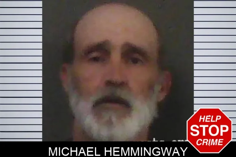Michael Hemmingway