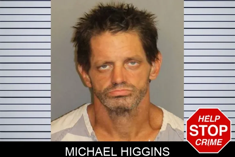 Michael Higgins