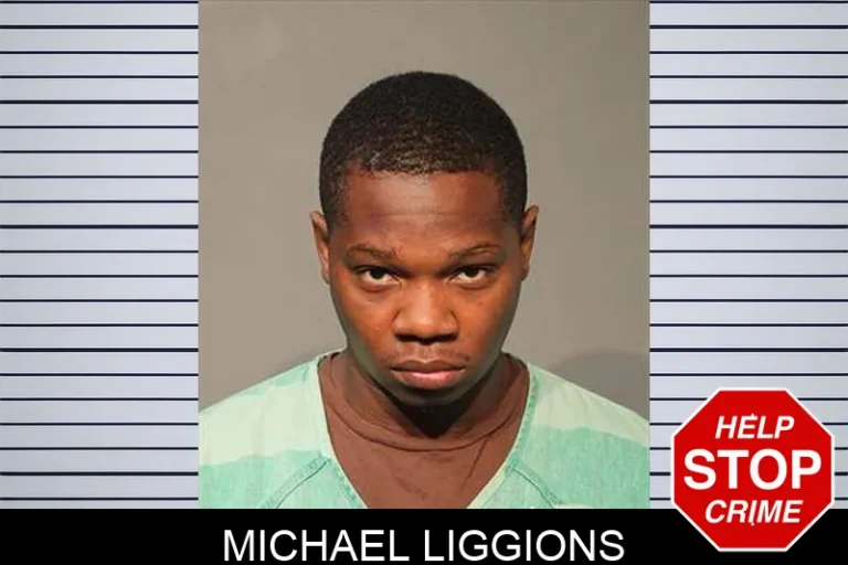 Michael Liggions