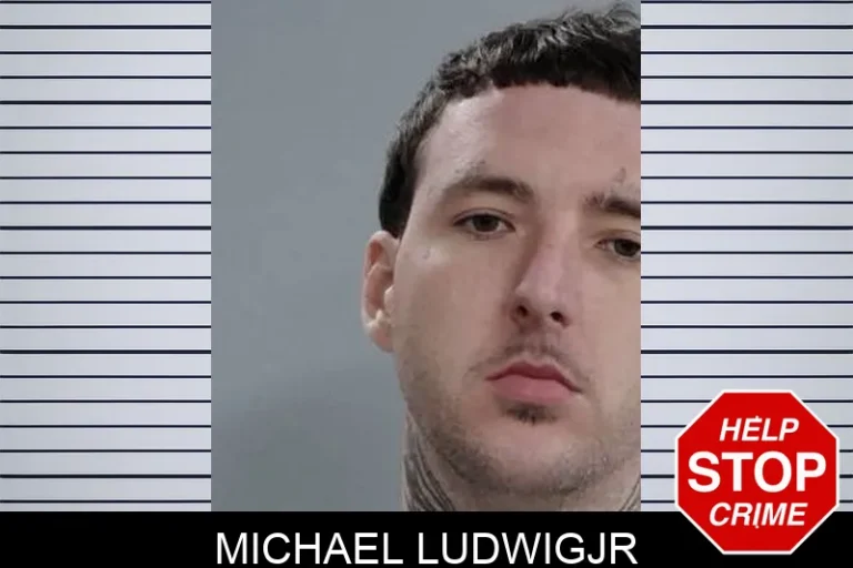 Michael LudwigJr
