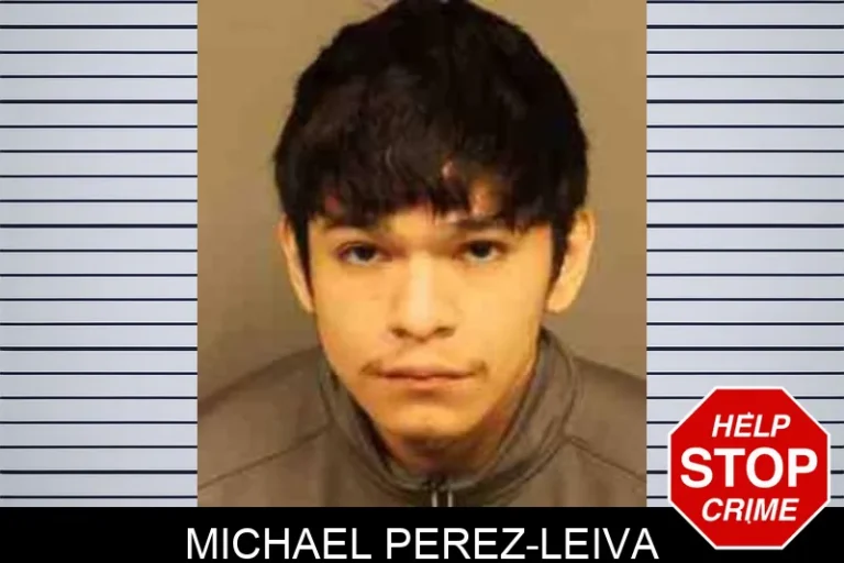 Michael Perez-Leiva
