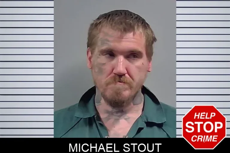 Michael Stout