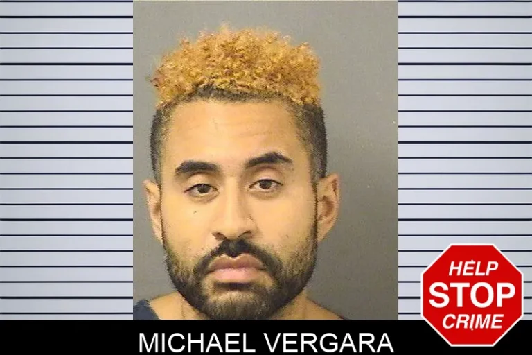 Michael Vergara