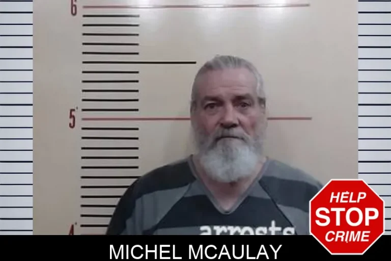 Michel McAulay