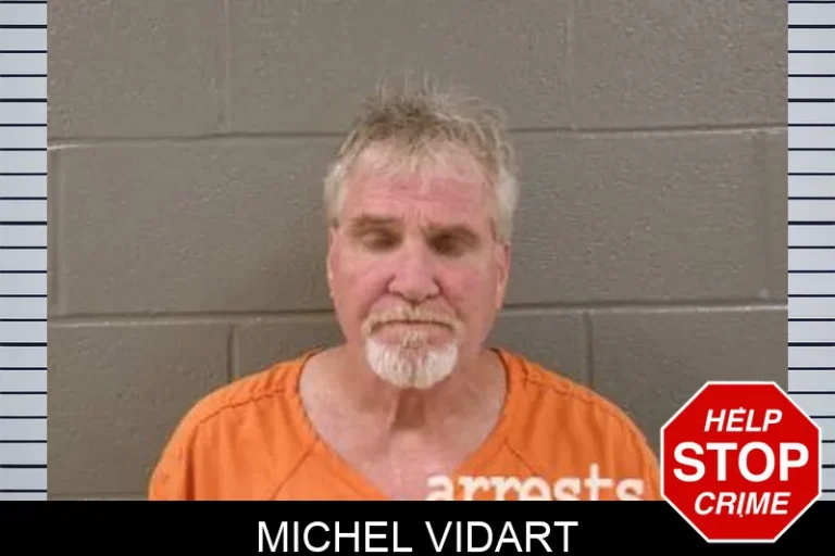 Michel Vidart