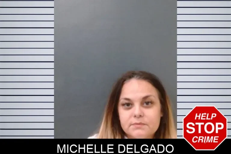 Michelle Delgado