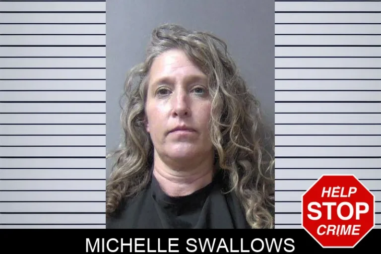 Michelle Swallows