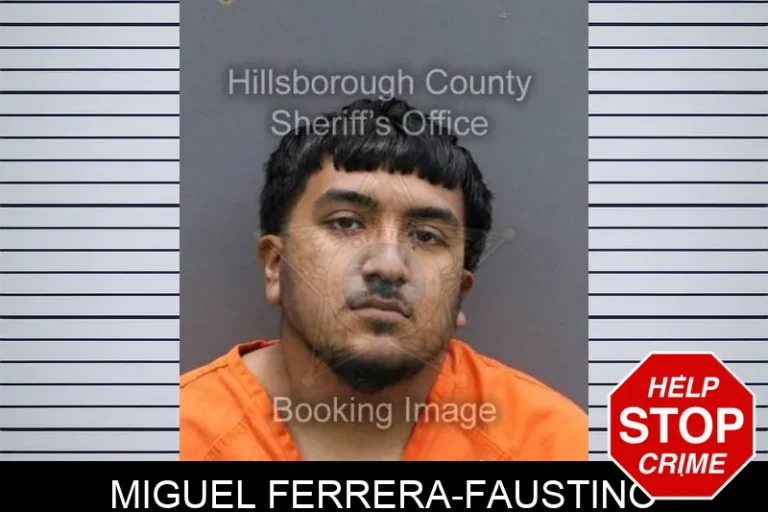 MiguEl Ferrera-FauStino